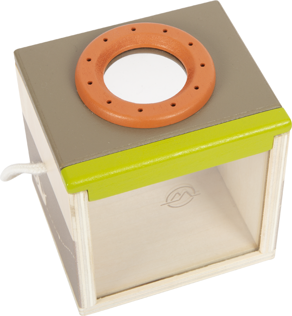 Insect Observation Discovery Box