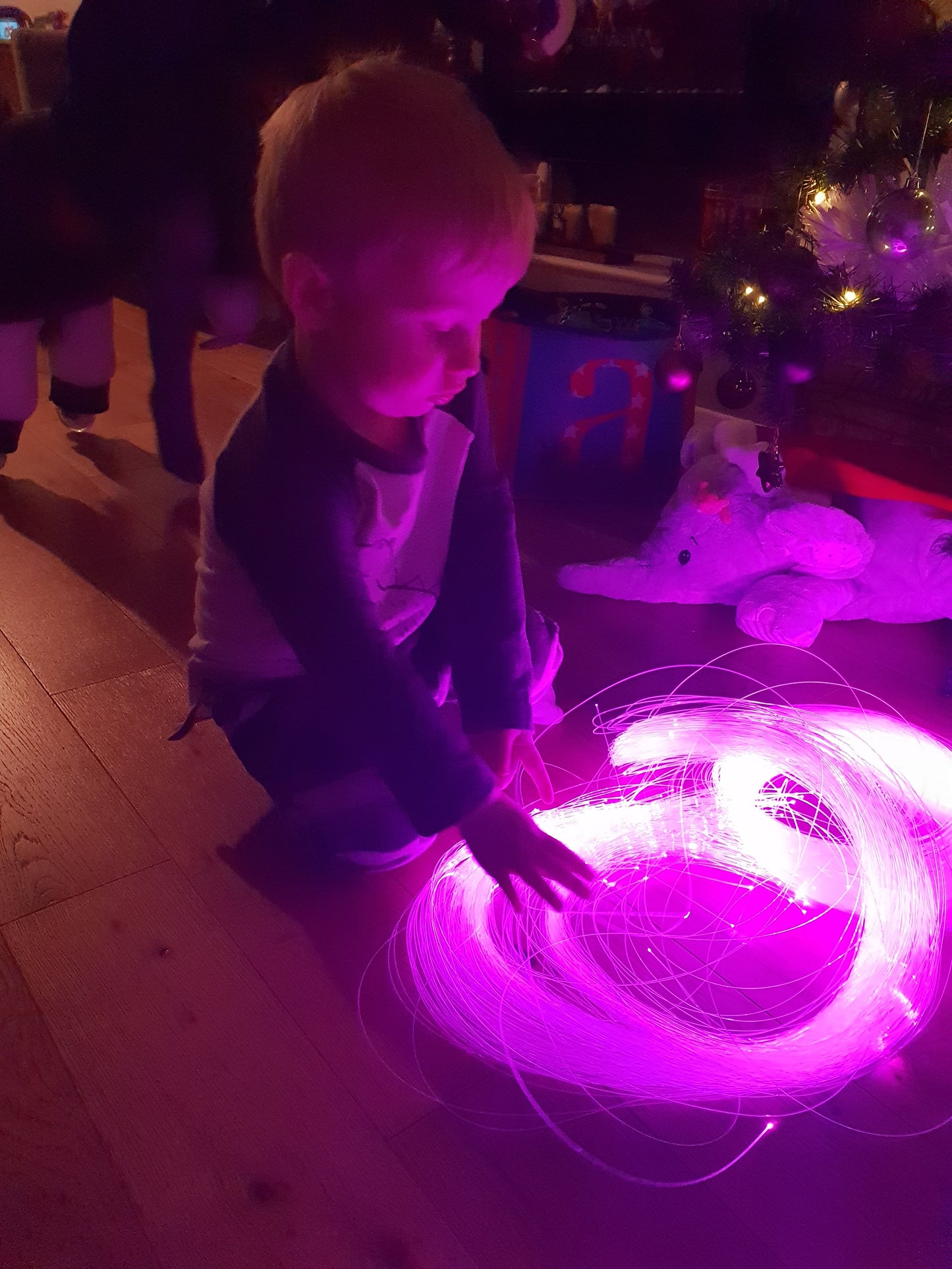 Sensory 2 Metre Fibre Optic Tails and Light Source (150/300pcs)